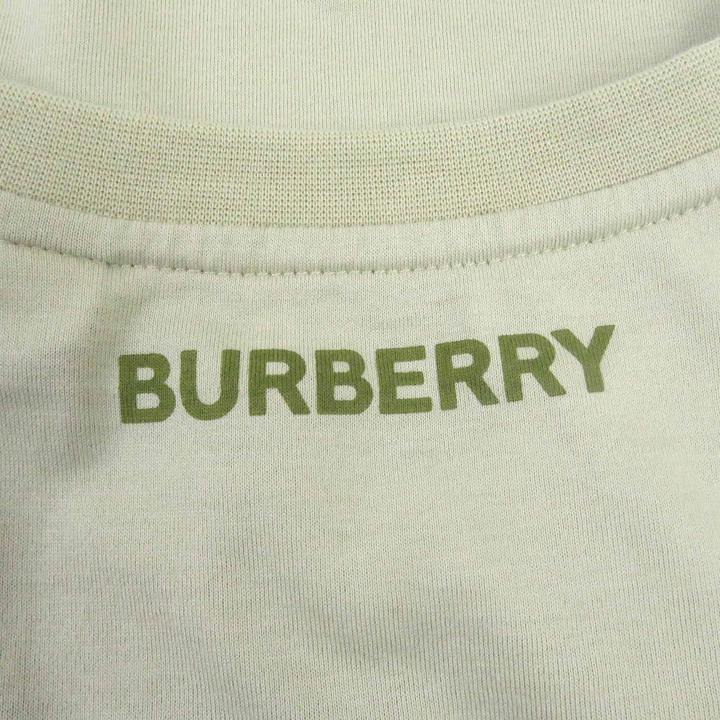 BURBERRY Short sleeve T-shirt 8052169 Main: 100% cotton, some parts: 98% cotton, some parts: 2% elastane Khaki type mens M