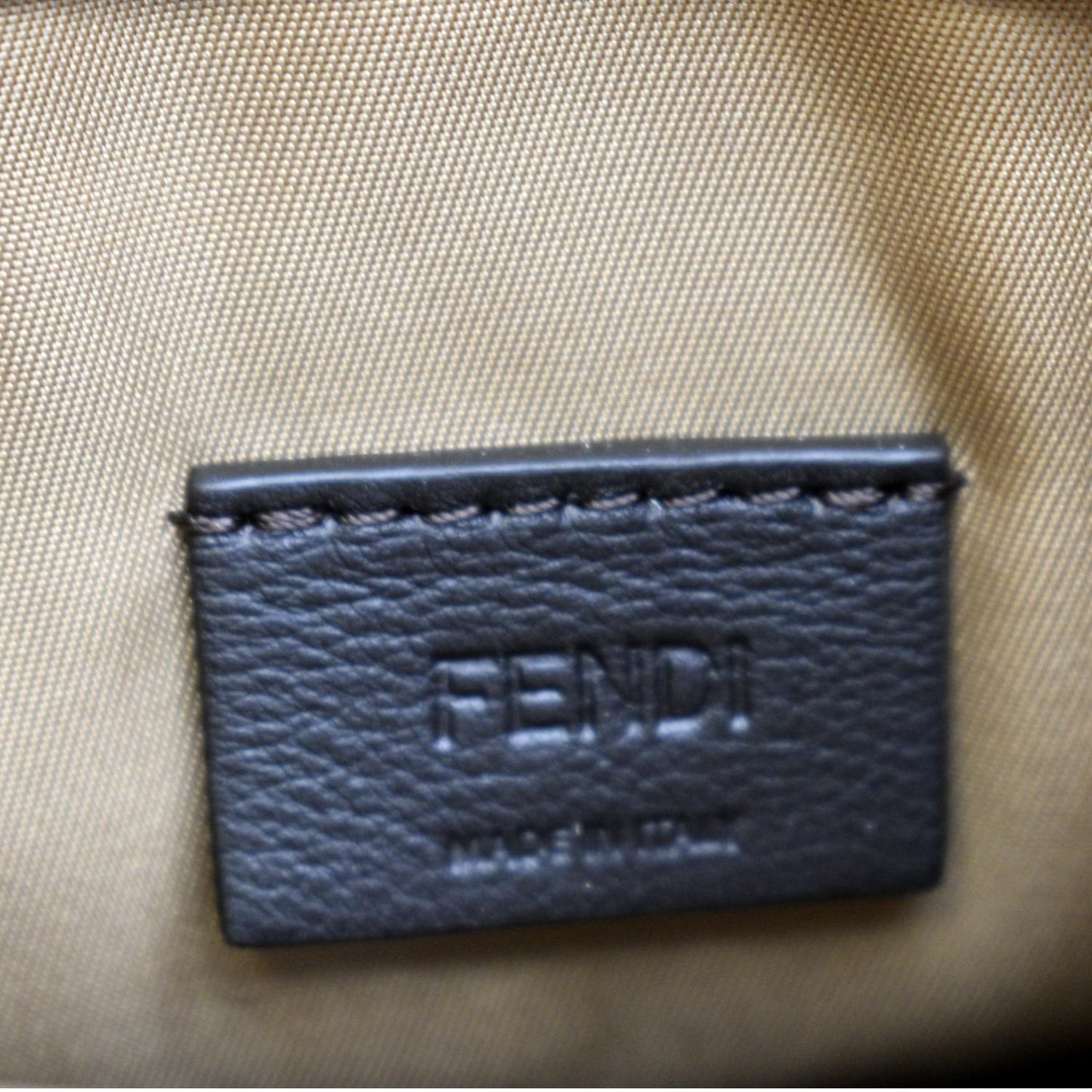 FENDI Mini Sunshine Plexiglass Technical Fabric Vitello Ceylon Shopper Tote Crossbody Bag Sand