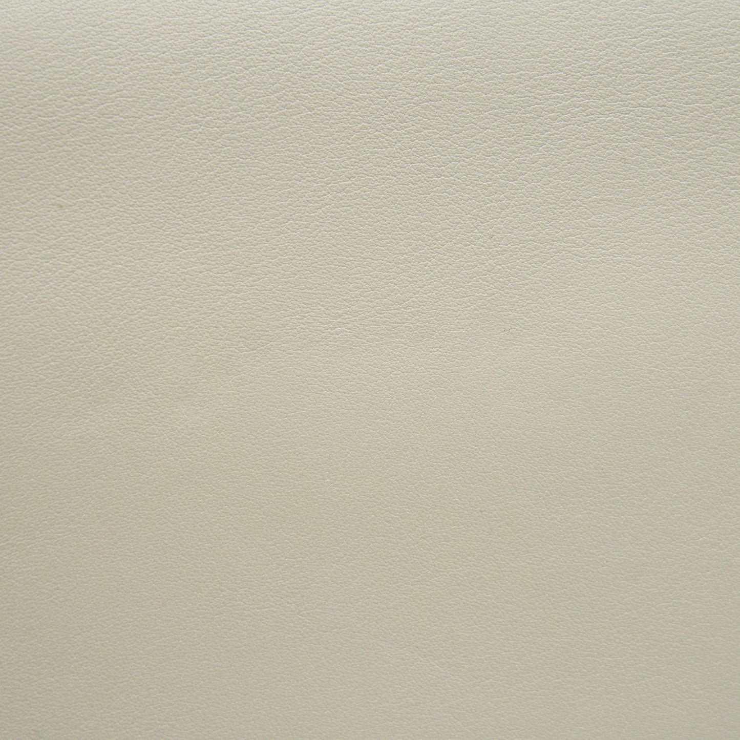 Dior Medium Dior Evolution Bag White with SHW