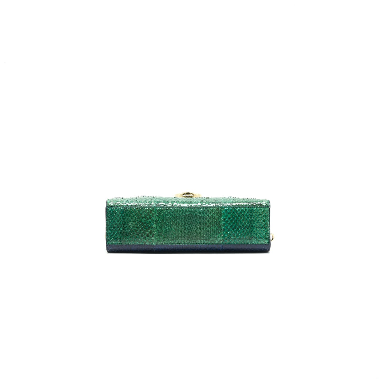Christian Dior Python Clutch/ Crossbody Purse Multi Colour