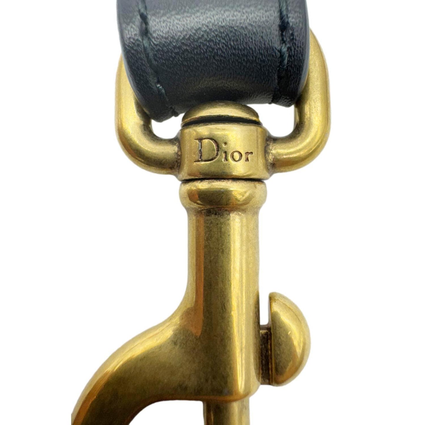 CHRISTIAN DIOR Studded Embroidered Canvas Shoulder Strap Rainbow