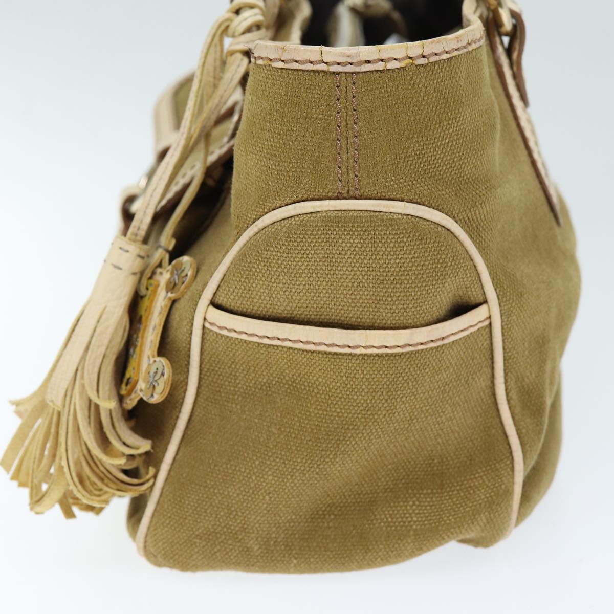 Luxury CELINE Boogie bag Hand Bag Canvas Brown 12351