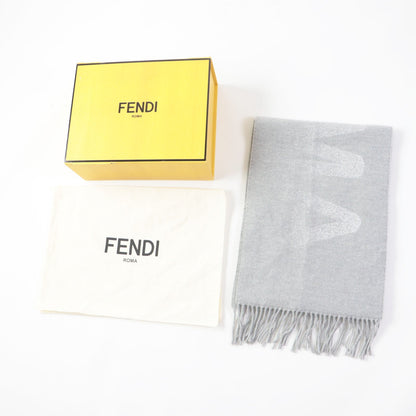 FENDI Scarf Main: 60% wool, 23% cashmere, 13% rayon, 4% metal fiber Light Gray Silver FXT485 AROQ TU Women