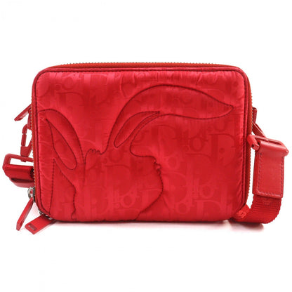 Dior Shoulder Bag 2ESBC119RAY leather Red