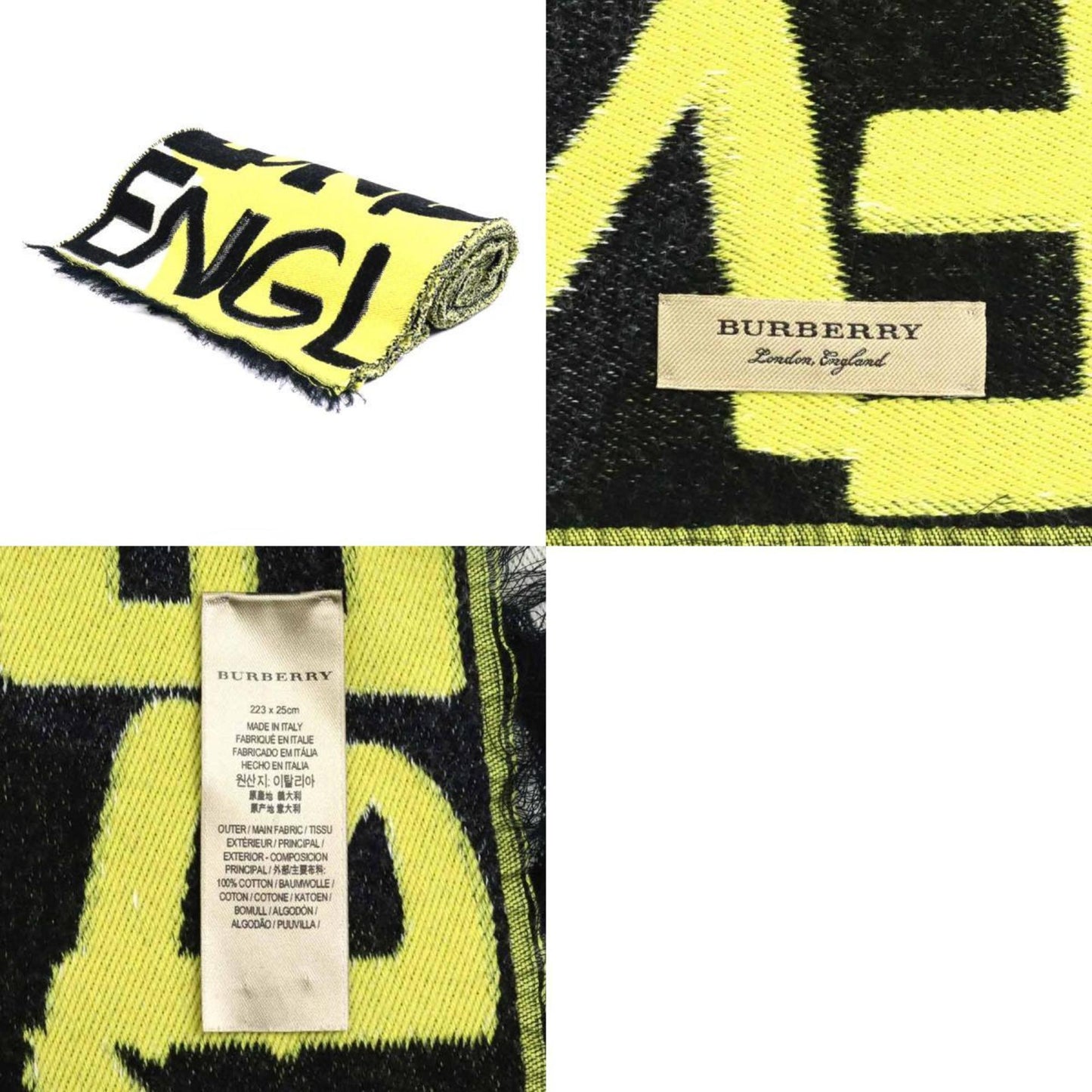 Luxury Burberry Scarves