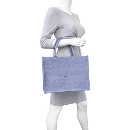 Dior Book Tote Medium