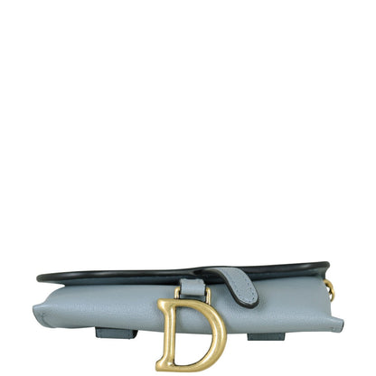 Dior Saddle Pouch Nano