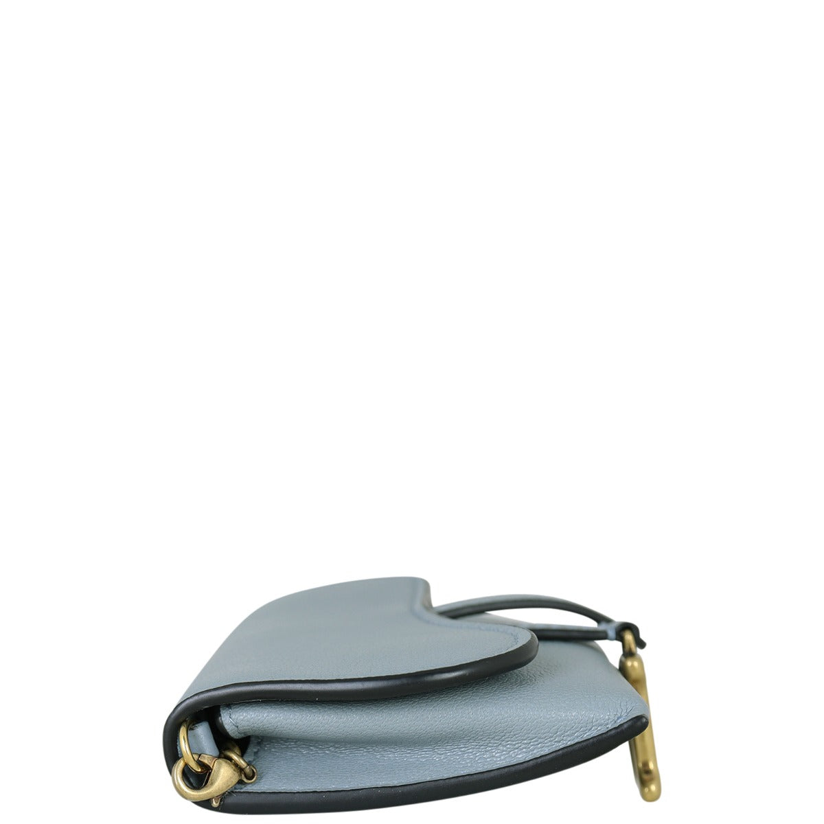 Dior Saddle Pouch Nano