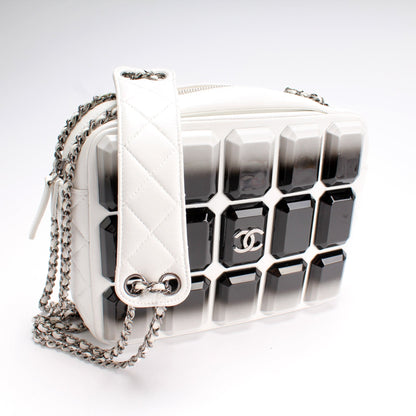Chanel Evening Art Embellished Camera Bag