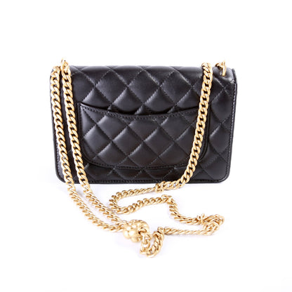 Chanel Sweet Camellia WOC Lambskin 32+M Bag