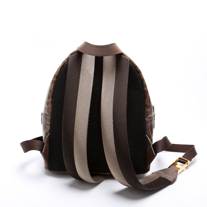 Fendi Fila FF Glazed Canvas Mini Backpack Brown Bag