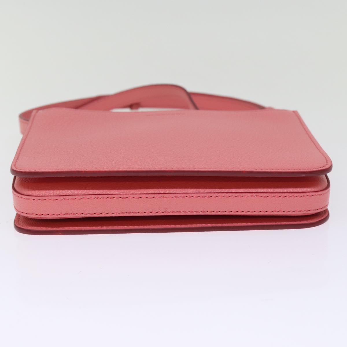 Luxury Burberry Shoulder Bag