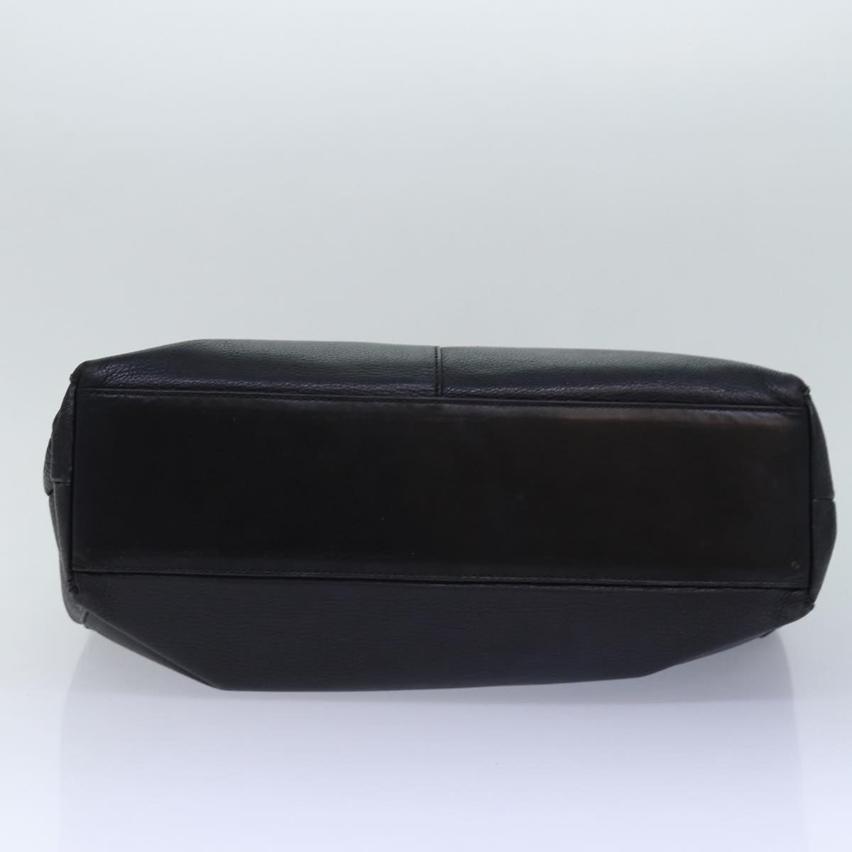 Luxury Burberry Shoulder Bag