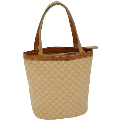 Luxury CELINE Triomphe Handbag