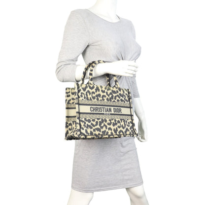 Dior Book Tote Small