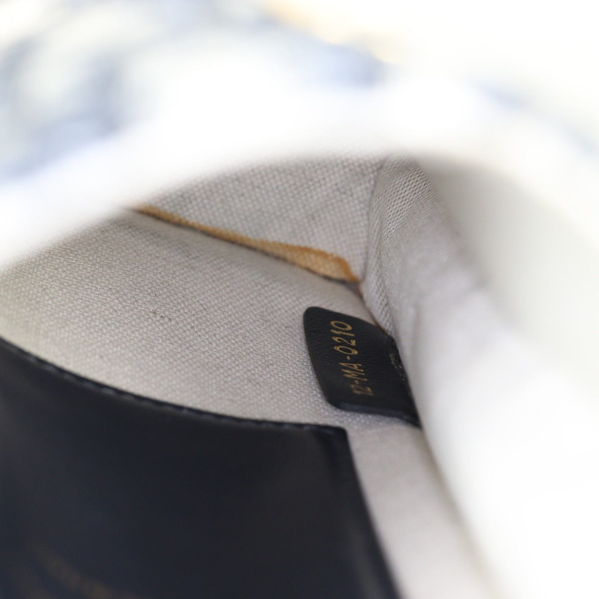 Dior Vertical Saddle Pouch Oblique