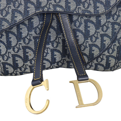 Dior Vintage Double Saddle Bag Oblique