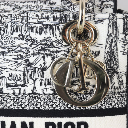 Dior Lady D-Lite Medium