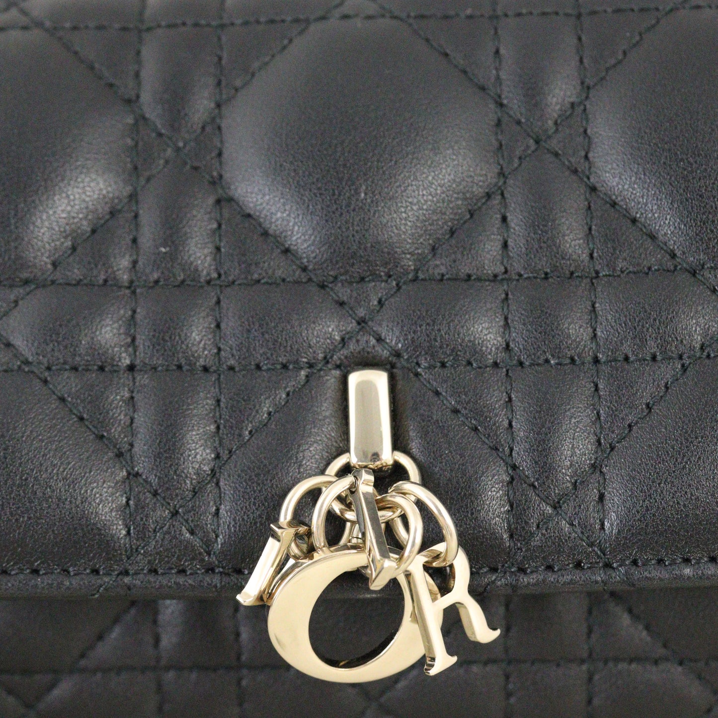 Dior My Dior Talk Phone Pouch