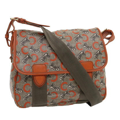 Luxury CELINE C Macadam Canvas Shoulder Bag Coated Canvas Orange  29764