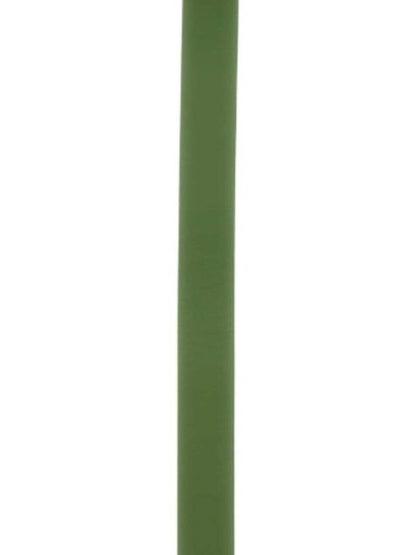 Luxury Bottega Veneta Triangle Buckle Leather Belt Green