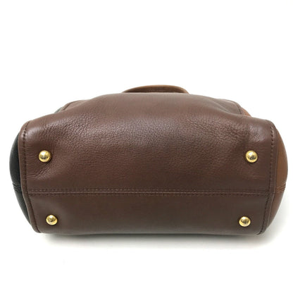 FENDI Handbag 8BL117 leather Brown chameleon Women
