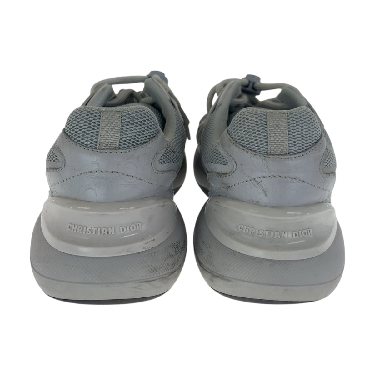 Dior sneakers 19 ELS canvas gray B24 40