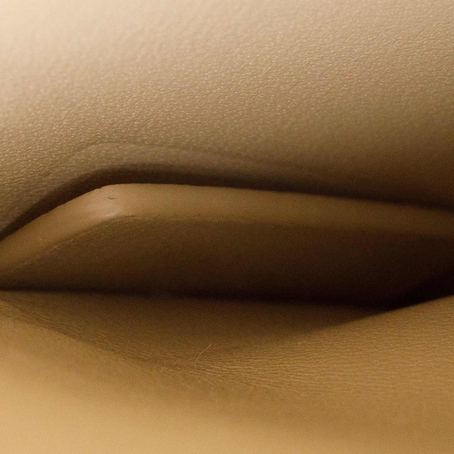 Christian Dior 2020 Beige Leather Medium 30 Montaigne Bag