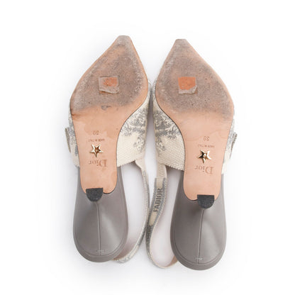 Christian Dior Grey Technical Fabric Toile De Jouy Embroidery J'Adior Slingback Pumps, Size 39