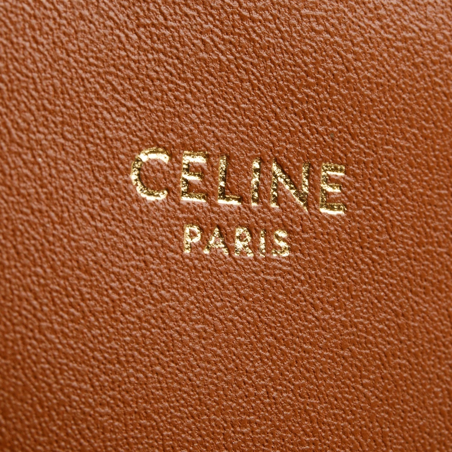 Celine 2022 Brown Triomphe Canvas Teen Triomphe Bag