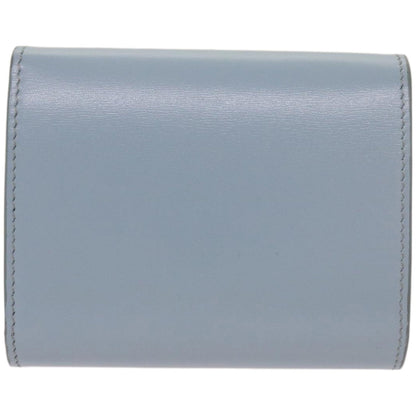 Luxury CELINE Wallet Leather Light Blue 10D783DPV  66844A