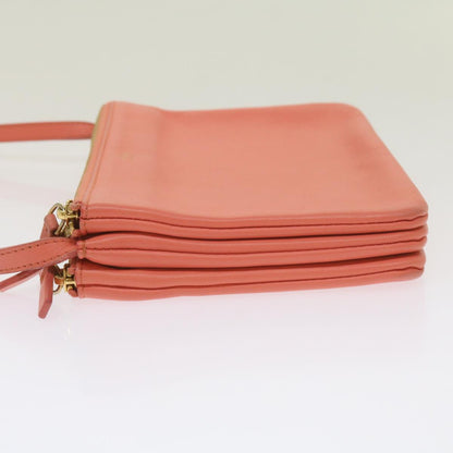 Luxury CELINE Trio Shoulder Bag Leather Pink  67657