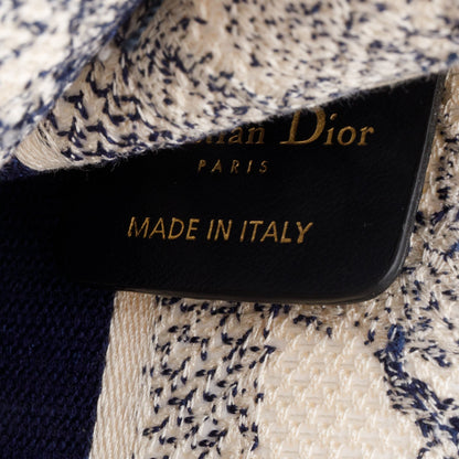 Christian Dior 2020 Blue Canvas Embroidered Mini Dioriviera Toile De Jouy Book Tote