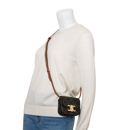 Celine 2022 Triomphe Canvas Calfskin Mini Claude