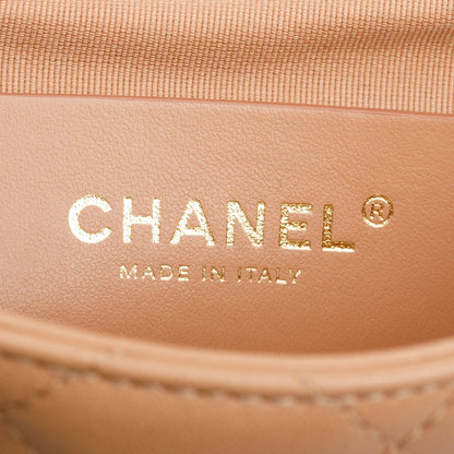 Chanel Brown Lambskin Hold the Line Flap Bag