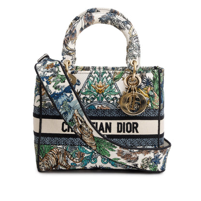 Christian Dior 2023 Multicolore Canvas Embroidered Etoile de Voyage Medium Lady D-Lite