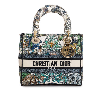 Christian Dior 2023 Multicolore Canvas Embroidered Etoile de Voyage Medium Lady D-Lite
