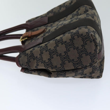 Luxury CELINE Triomphe Canvas Hand Bag Brown  75616