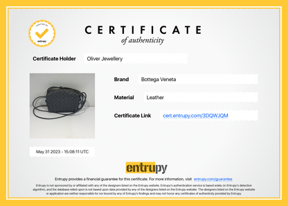 Bottega Veneta Mini Loop Camera Bag