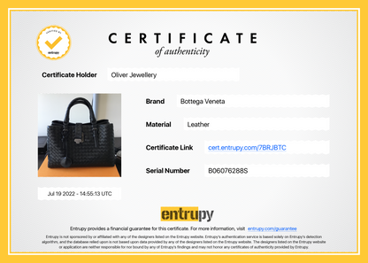 Bottega Veneta Small Intrecciato Roma Bag