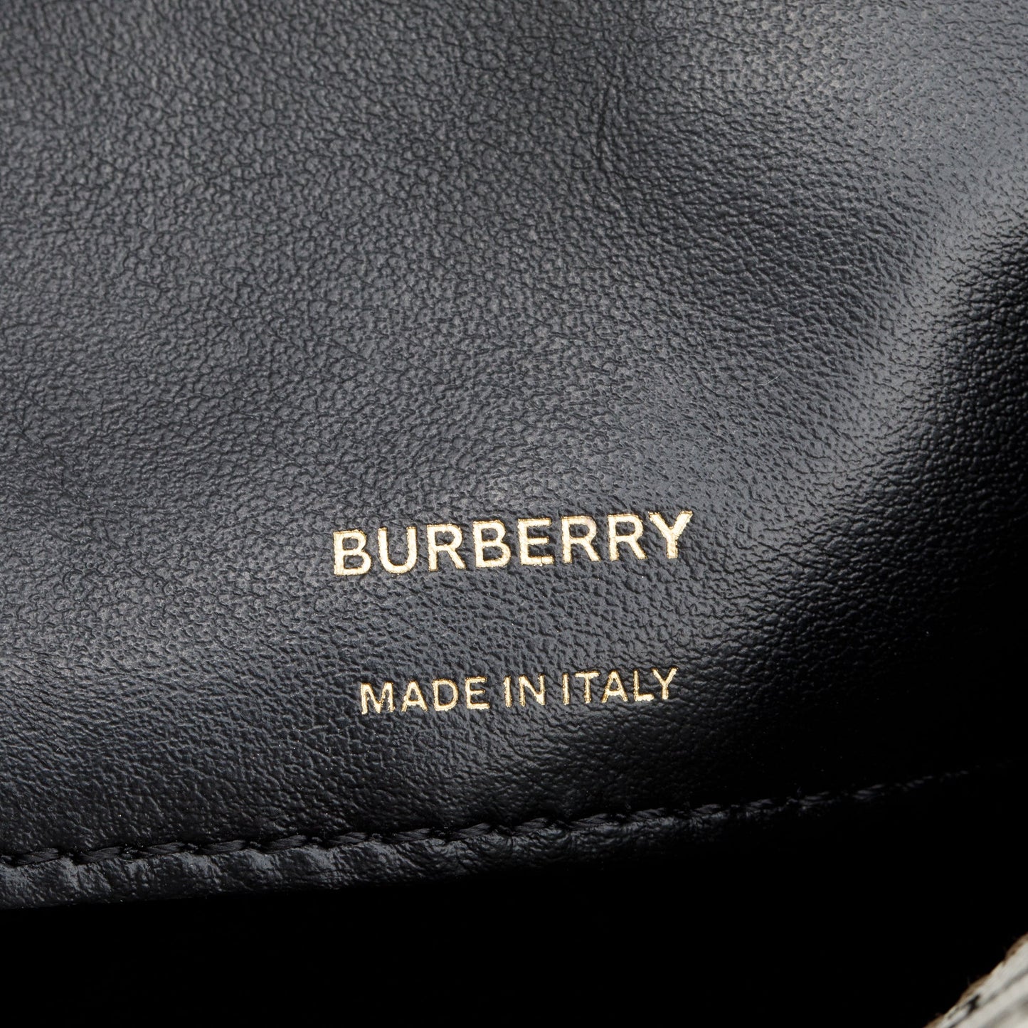 Burberry Brown TB Monogram Stripe E-Canvas Blue Micro Camera Crossbody Bag