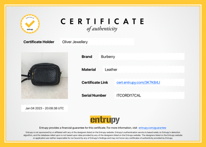Burberry Embossed Leather TB Camera Crossbody