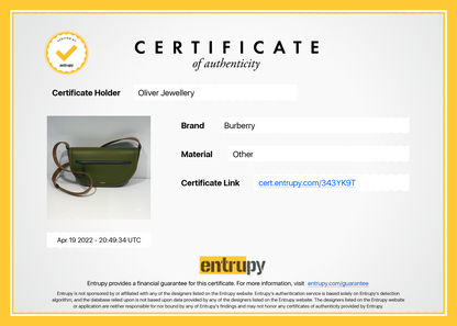Burberry Medium Leather Olympia Bag