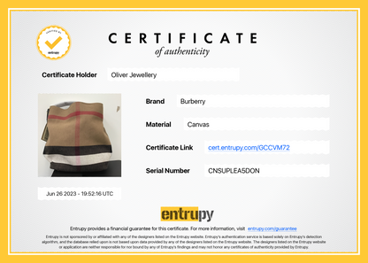 Burberry Mega Check Medium Ashby Hobo Bag