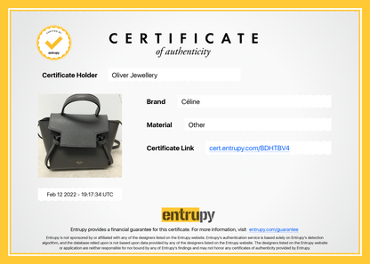Celine 2020 Pico Belt Bag