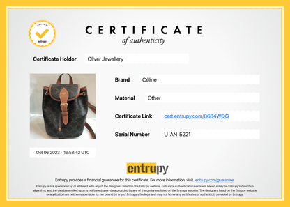 Celine 2021 Brown Triomphe Canvas Mini Folco Backpack