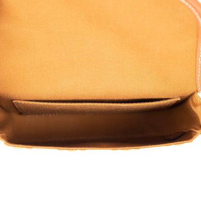 Celine 2021 Triomphe Canvas Mini Besace Crossbody Bag