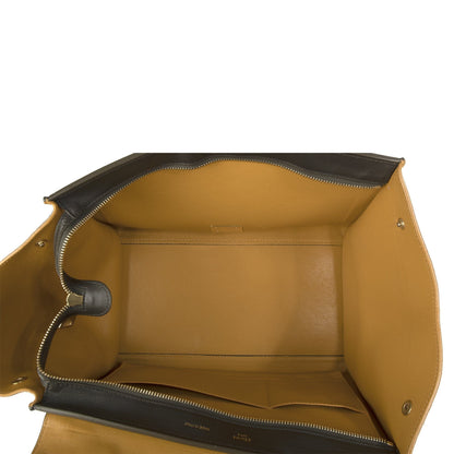Celine Medium Tricolor Trapeze Bag