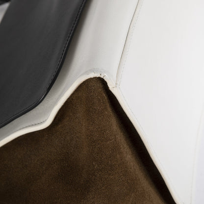 Celine Medium Tricolor Trapeze Bag