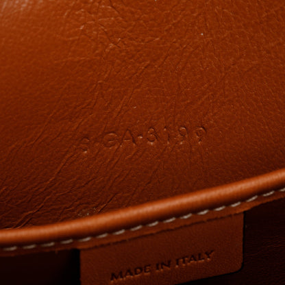 Celine Neutral Canvas Brown Calfskin Leather Nano Luggage Tote